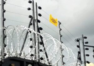 Eight-strand high-tensile electric fence wires mounted on a masonry wall with yellow warning signs
